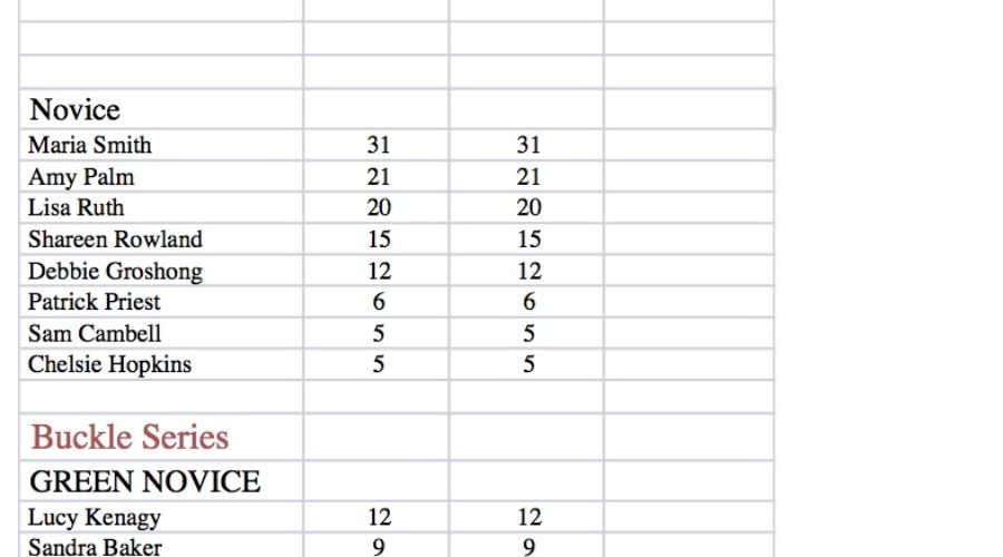 THREE MAN SORTING SADDLE SERIES  AT THE CATHEY RANCH – Standings October 5, 2015